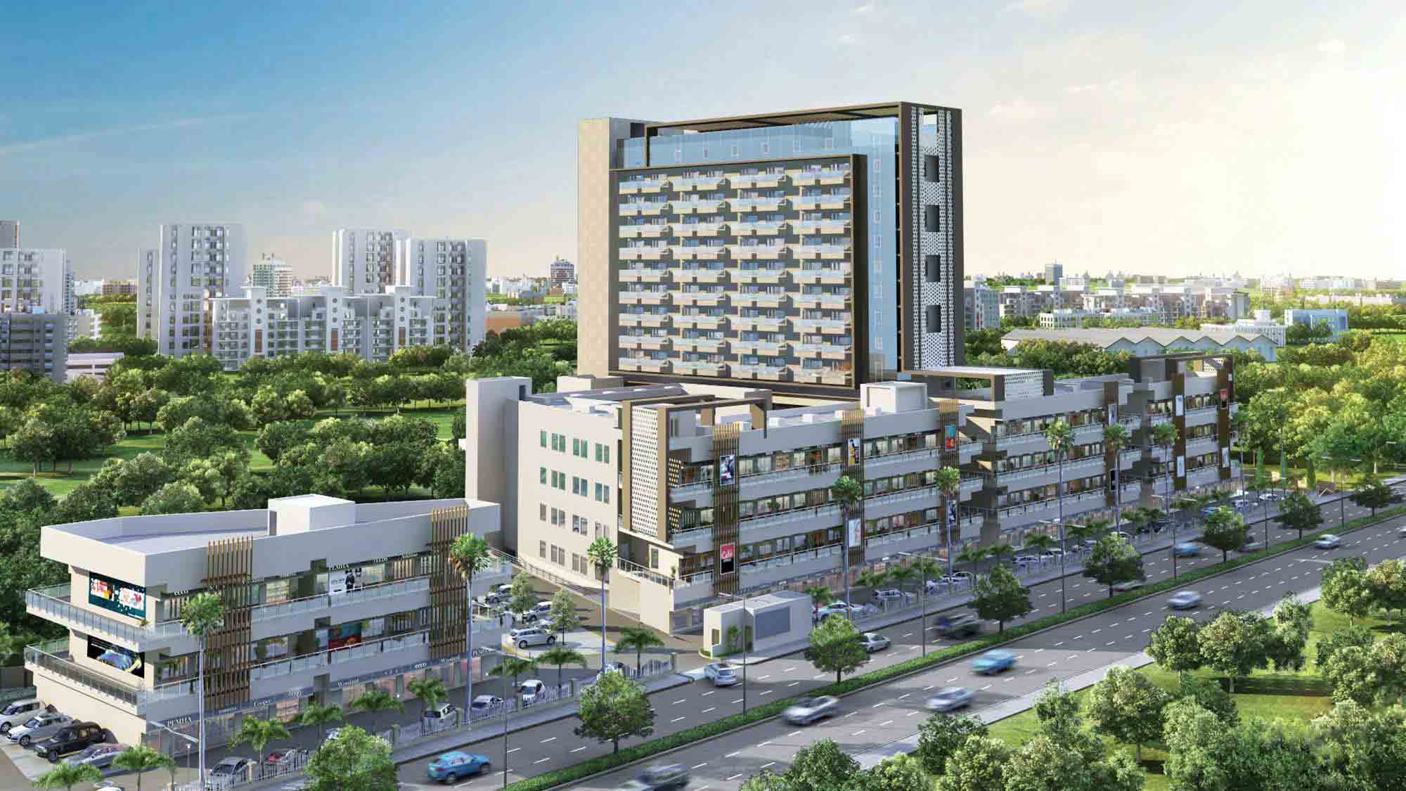 Orris Market 89 Visual 3