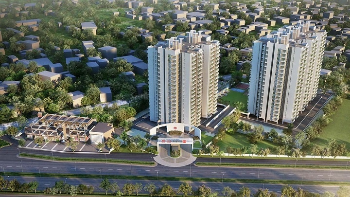 GLS Avenue 81