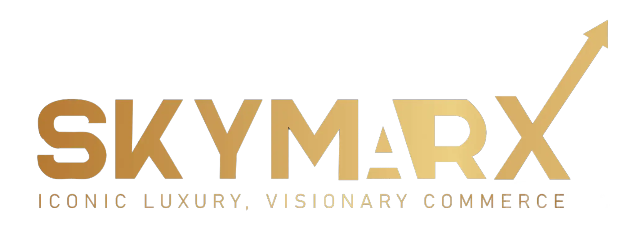 SkymarX India Logo