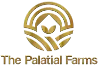 Zade Infra Group Logo